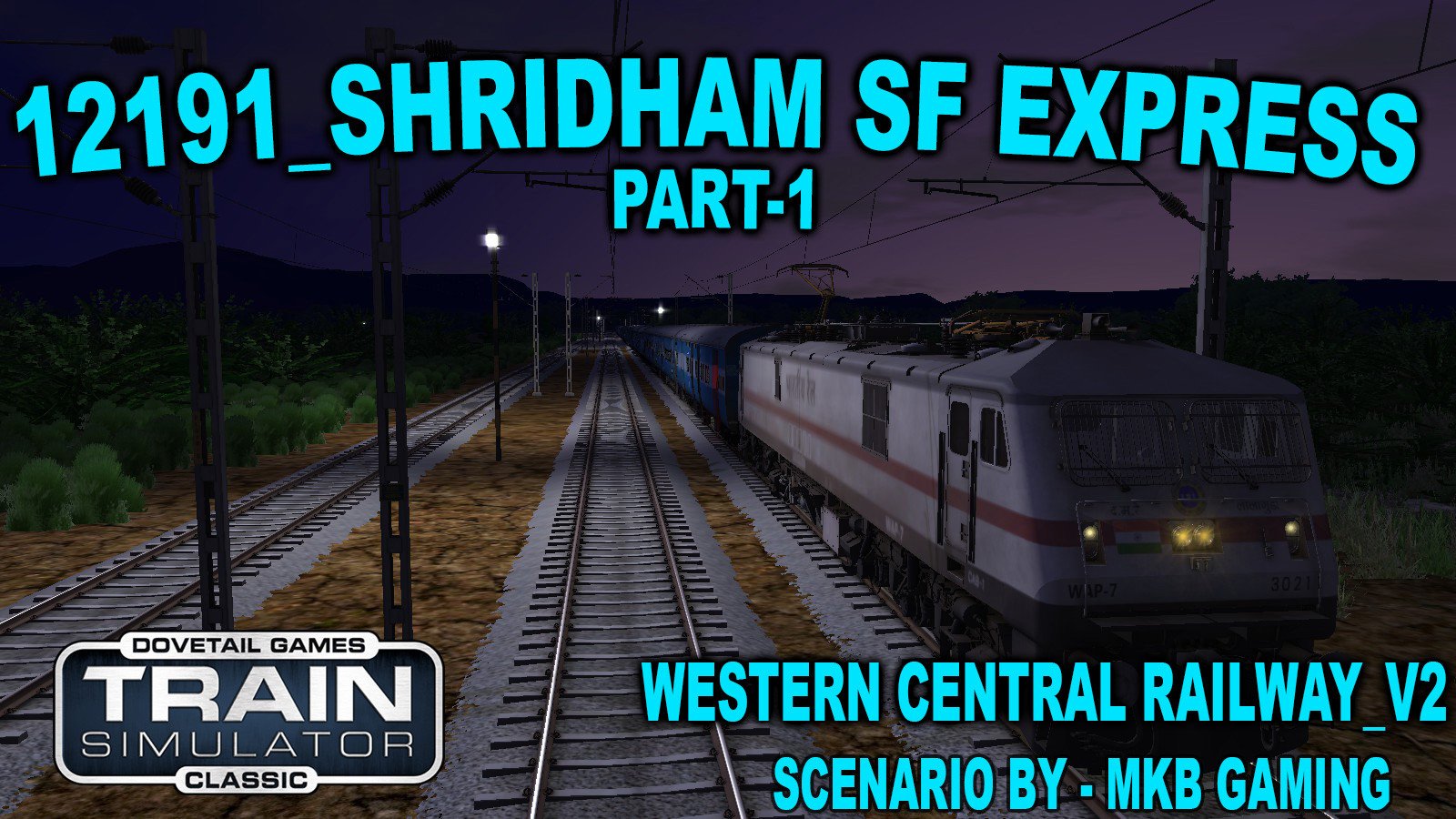 12191/Shridham SF Express Part no 01